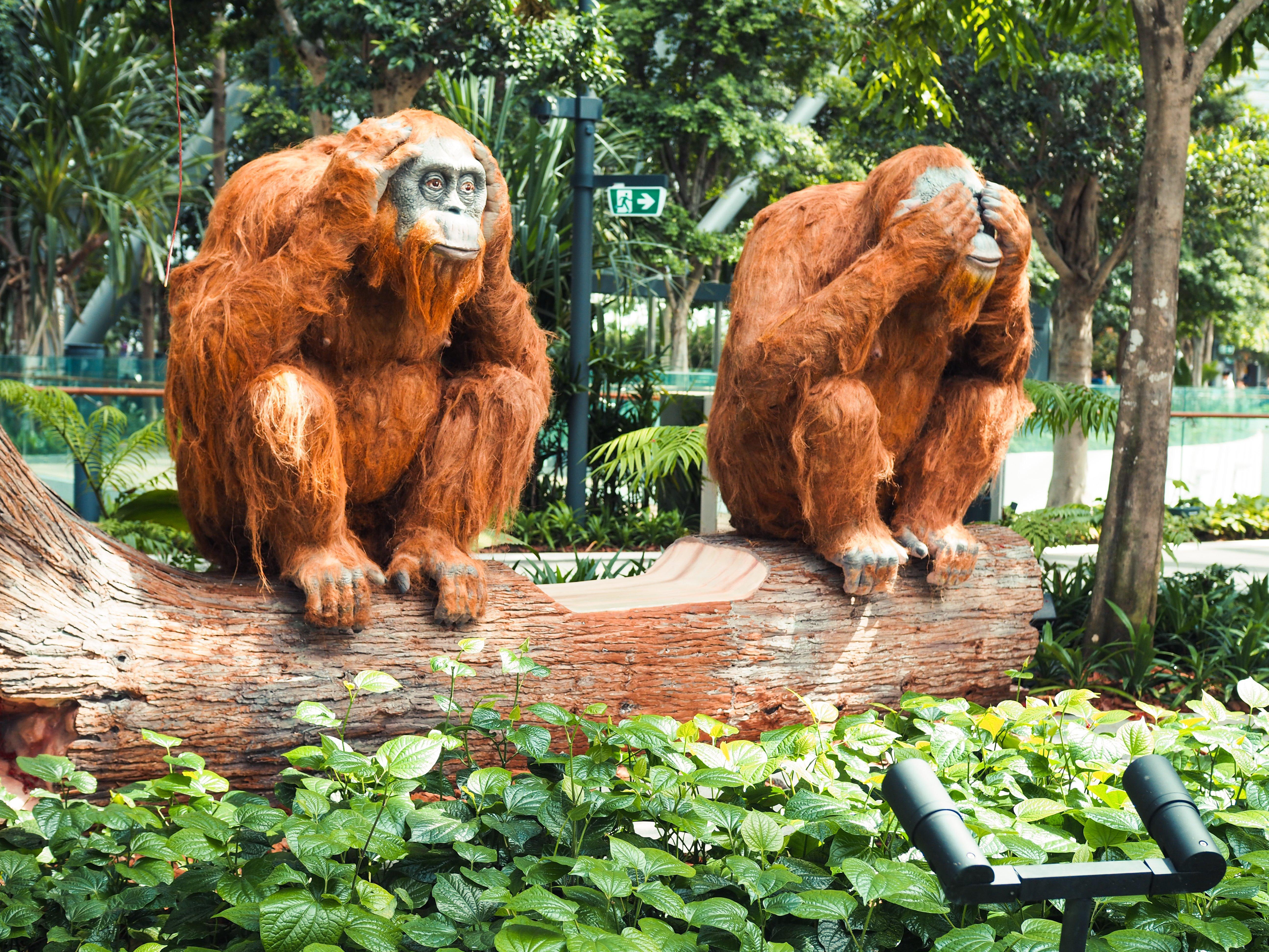 Crowne Plaza Changi Airport, An Ihg Hotel Singapur Exterior foto